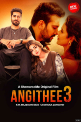 Download Angithee 3 2024 480p  720p  1080p