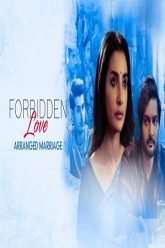 Download Forbidden Love: Arranged Marriage (2021) Hindi 480p  720p  1080p