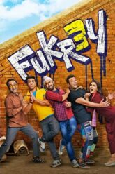 Download Fukrey 3 (2023) Hindi Full Movie AMZN 480p  720p  1080p