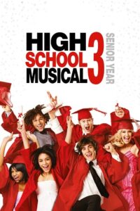 Download High School Musical 3: Senior Year 2008 Hindi-English 480p  720p  1080p