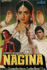 Download Nagina 1986 Hindi 480p  720p  1080p