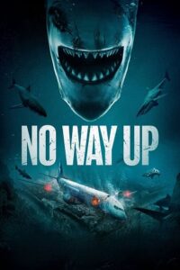 Download No Way Up 2024 Hindi + English 480p  720p  1080p