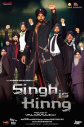 Download Singh Is King 2008 Hindi 480p  720p  1080p