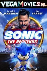 Download Sonic the Hedgehog 2020 Hindi-English 480p  720p  1080p