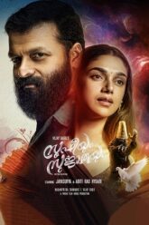 Download Sufiyum Sujatayum 2020 2.0 480p  720p  1080p