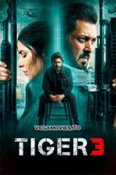 Download Tiger 3 (2023) Hindi AMZN 480p [500MB]  720p [1.3GB]  1080p [2.5GB]  2160p 4K UHD [17GB]