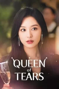 Download Queen Of Tears Season 1 S01E04 Added Hindi-Dubbed Series 720p  1080p NF WEB-DL – 2024 Korean Drama Series