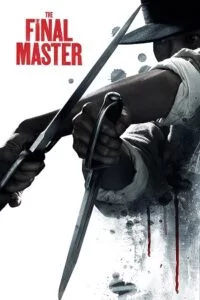 Download The Final Master 2015 Hindi-Chinese 480p  720p  1080p