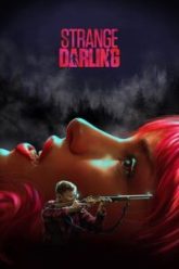 Strange-Darling-2024-Hindui-200×300-1